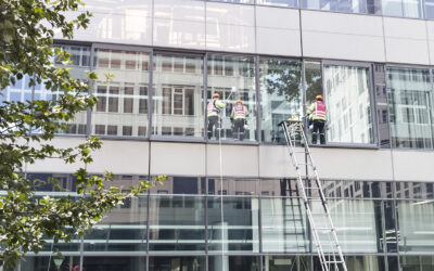 Fensterreinigung im Privathaushalt: Wann lohnt sich der Profi wirklich?