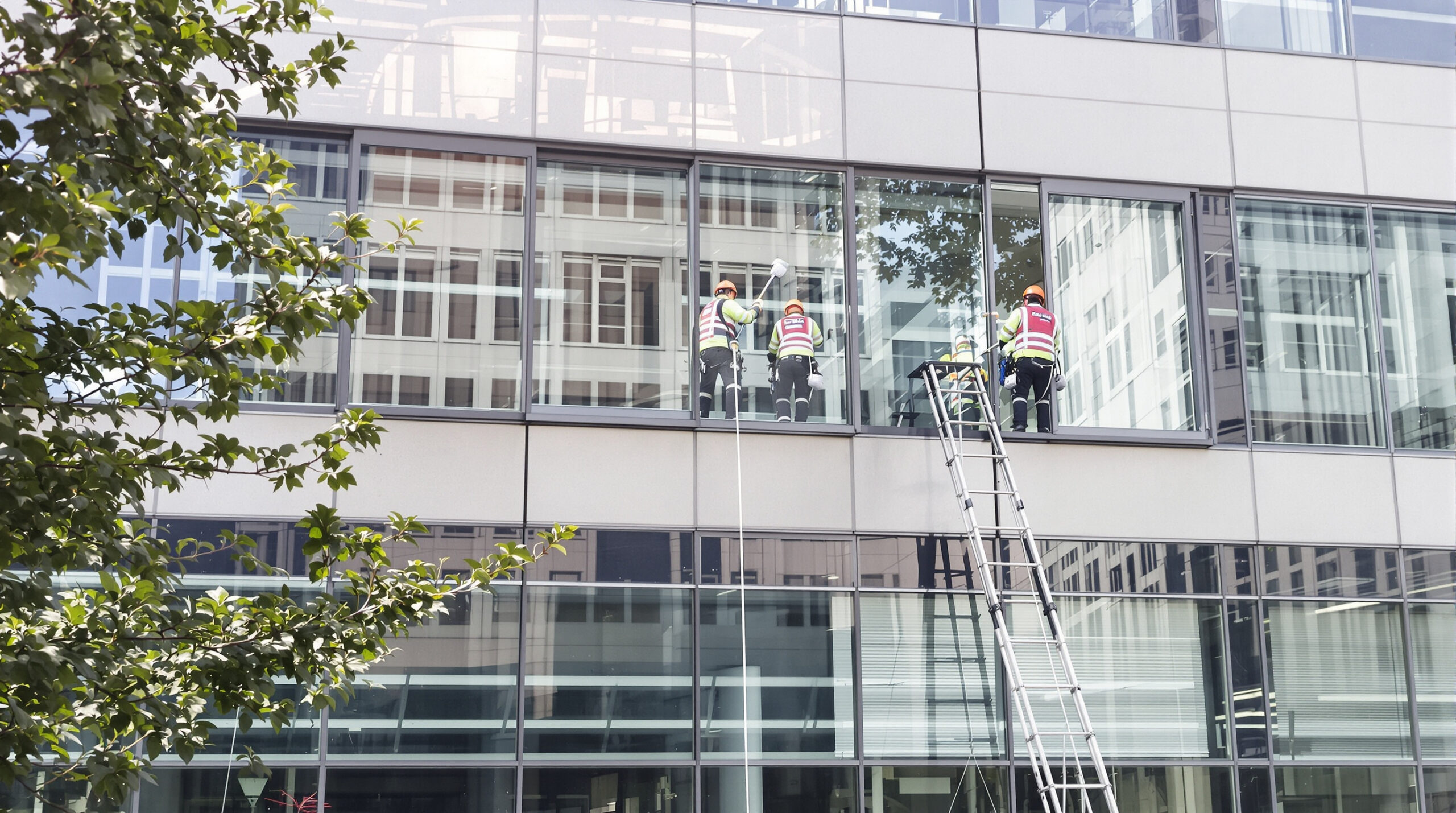 Fensterreinigung im Privathaushalt: Wann lohnt sich der Profi wirklich?